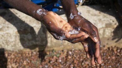 Medio Oriente e Nord Africa: 1 bambino su 3 soffre di almeno una forma di malnutrizione