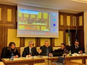 Audizione nell’ambito dell’intergruppo parlamentare sulla disabilità